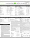 Dubai Islami Bank Page 13