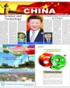 Supplement Page 11