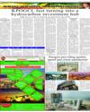 Supplement Page 14