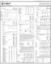 Balance Sheet Page 101