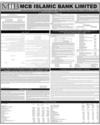 Balance Sheet Page 126