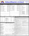 Balance Sheet Page 13
