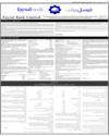 Balance Sheet Page 85