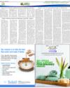 Supplement Page 15
