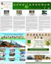 Suppliment Page 8