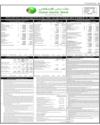 Balance Sheet Page 19