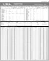 Balance Sheet Page 35