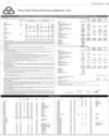 Balance Sheet Page 31