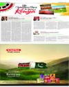 Supplement Page 13
