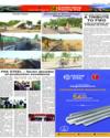 Supplement Page 15
