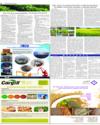 Supplement Page 14