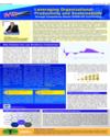 Supplement Page 13
