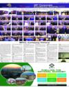 Supplement Page 13