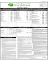 Balance Sheet Page 11