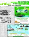 Supplement Page 18