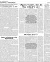 Opinion and Editorial Page 6