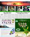 Supplement Page 13