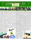 Supplement Page 2